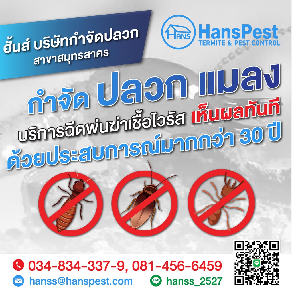 ฮั้นส์-กำจัดปลวก-สาขาสมุทรสาคร